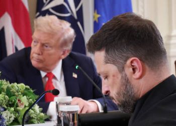 Zelensky got ‘overconfident’ with Trump – Alexandre Guerreiro