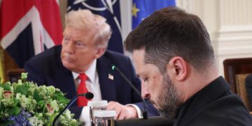 Zelensky got ‘overconfident’ with Trump – Alexandre Guerreiro