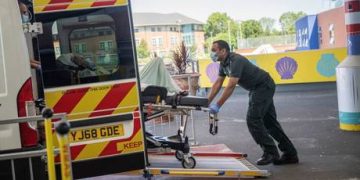 Livestock virus claims first human victim in France