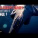 F-35A cockpit canopy mis-routed – China now has access !